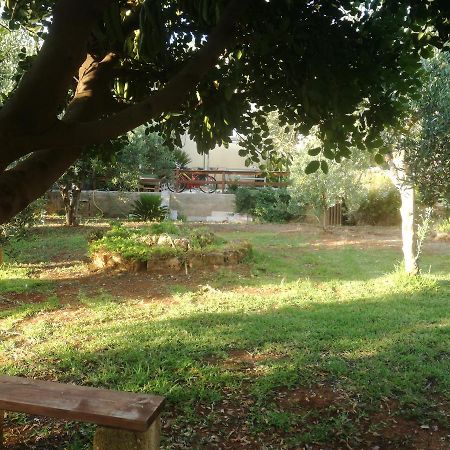 Aquilone Appartement Castelluzzo Buitenkant foto